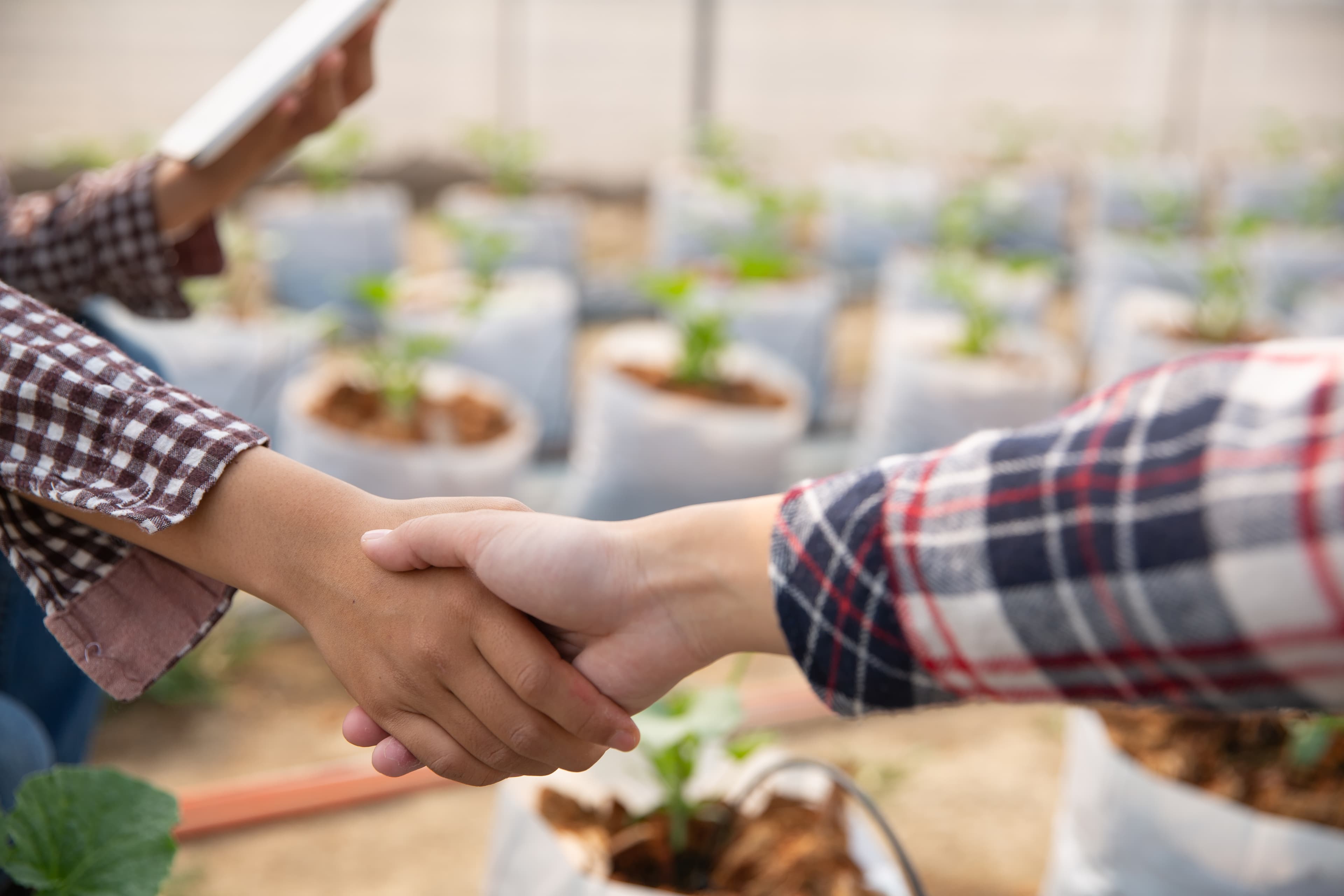 Comunidad y alianzas para crear impacto